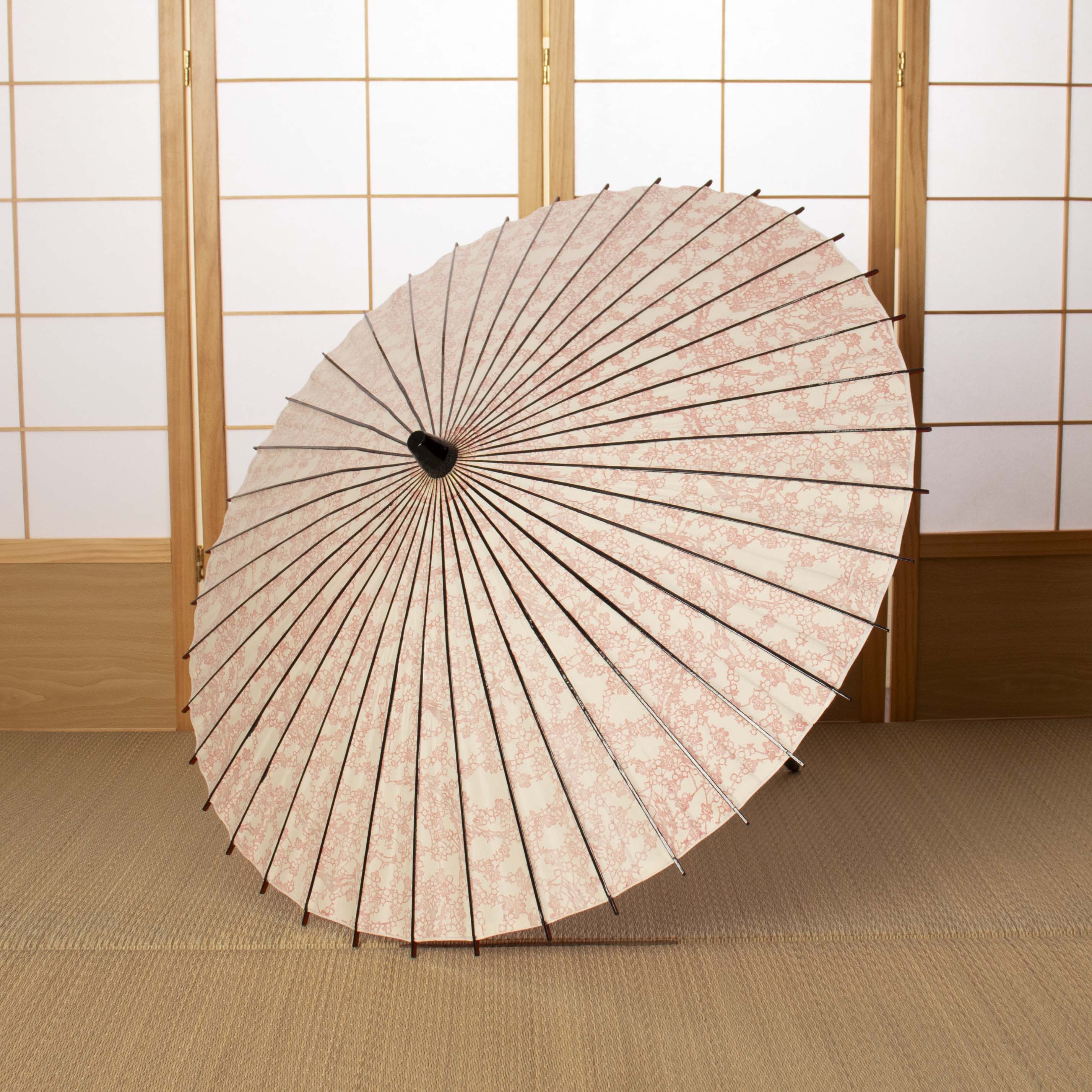 White / Unryu paper / Japanese Parasol EN Series