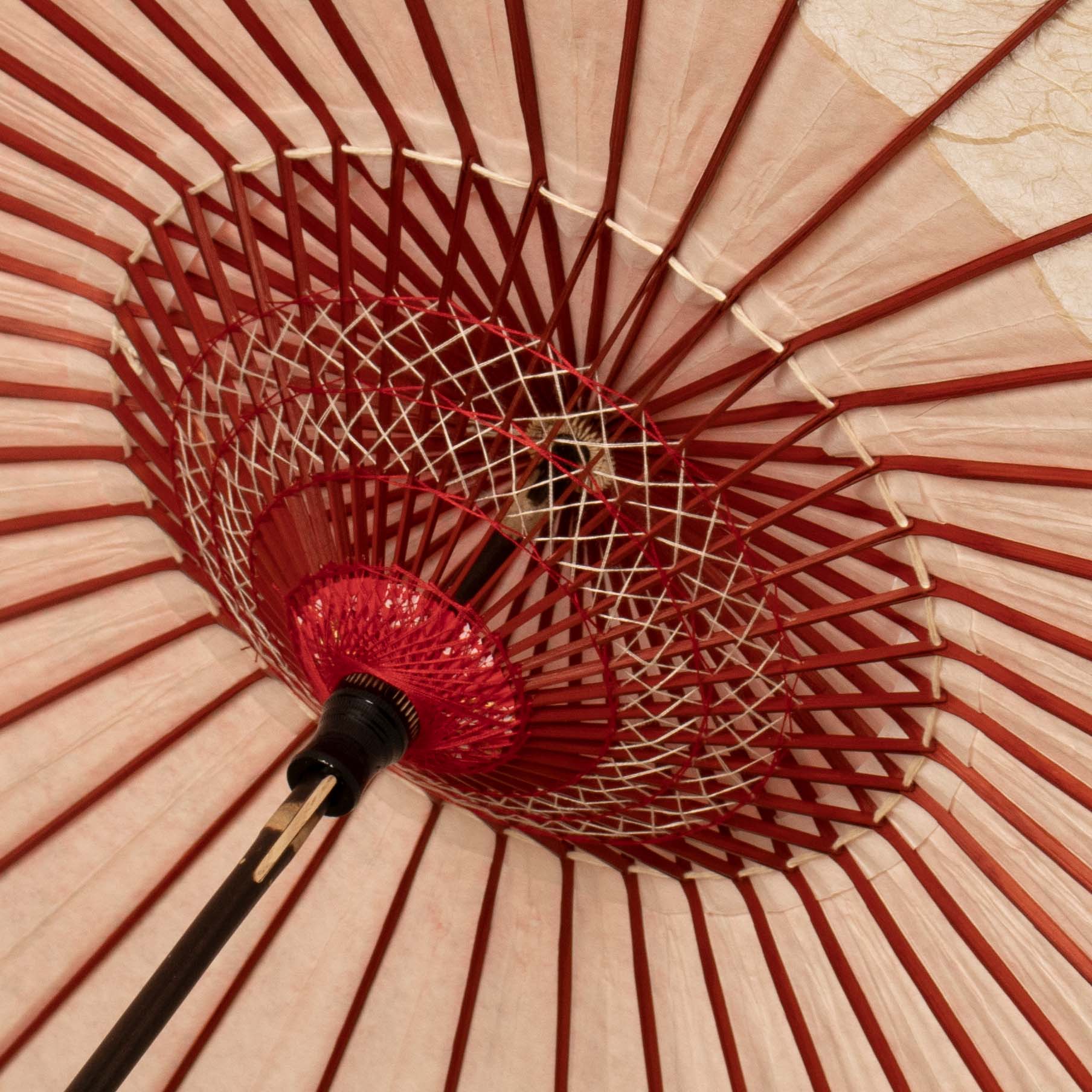 Fresh Greenery and Clovers / High-quality Tsukiyakko / Japanese Black Bamboo Parasol