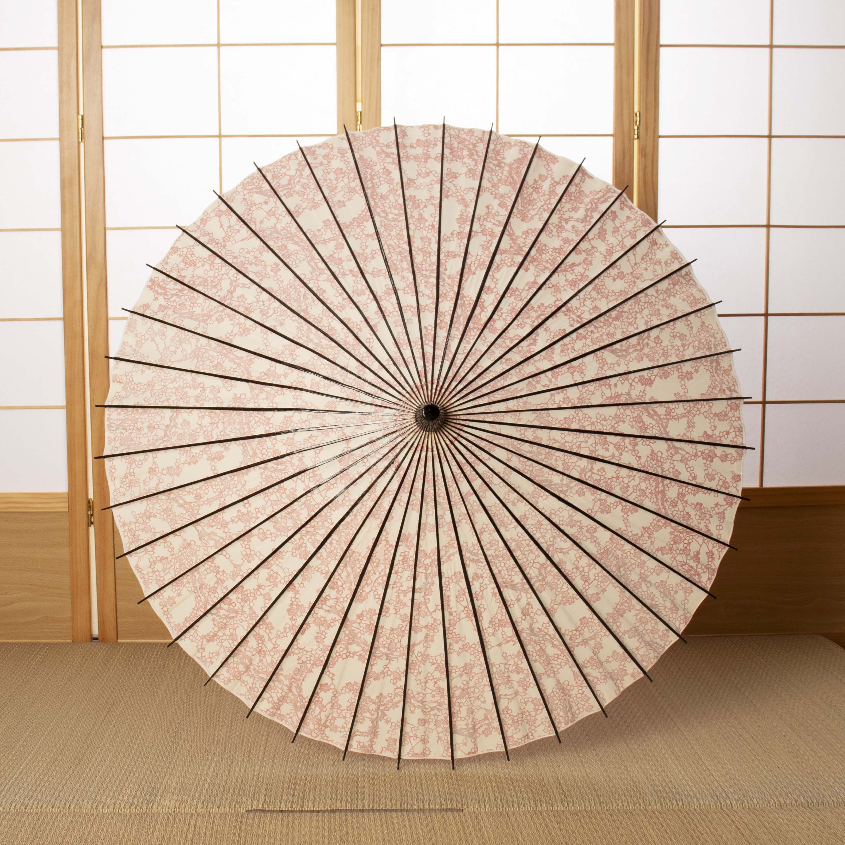 White / Unryu paper / Japanese Parasol EN Series